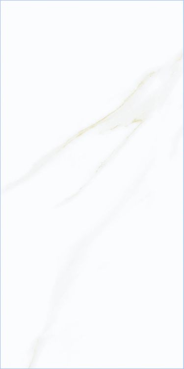 Time Cielo Matte 12 x 24